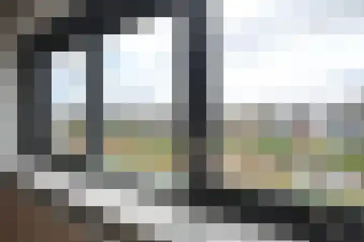 Zwarte Specht 44 Zeewolde thumbnail 21