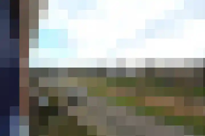 Zwarte Specht 44 Zeewolde thumbnail 22