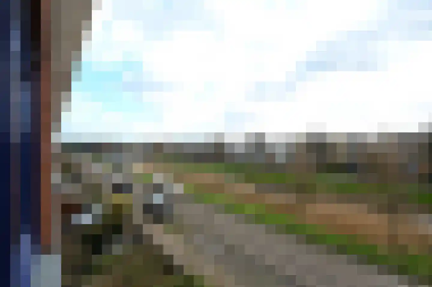 Zwarte Specht 44 Zeewolde thumbnail 22