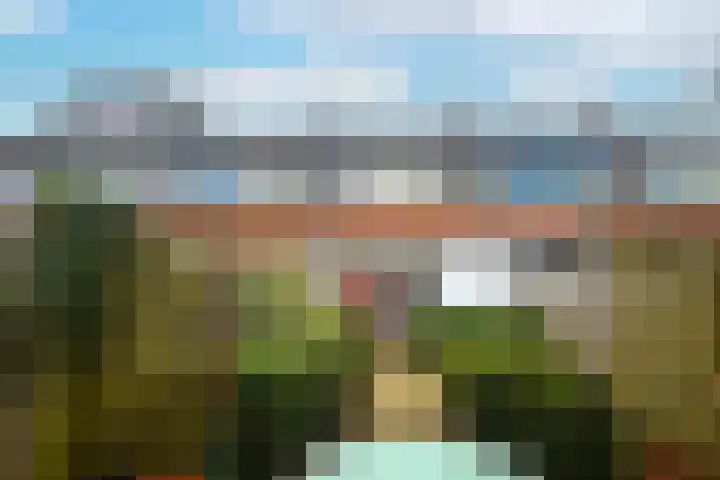 Zwarte Specht 44 Zeewolde thumbnail 23