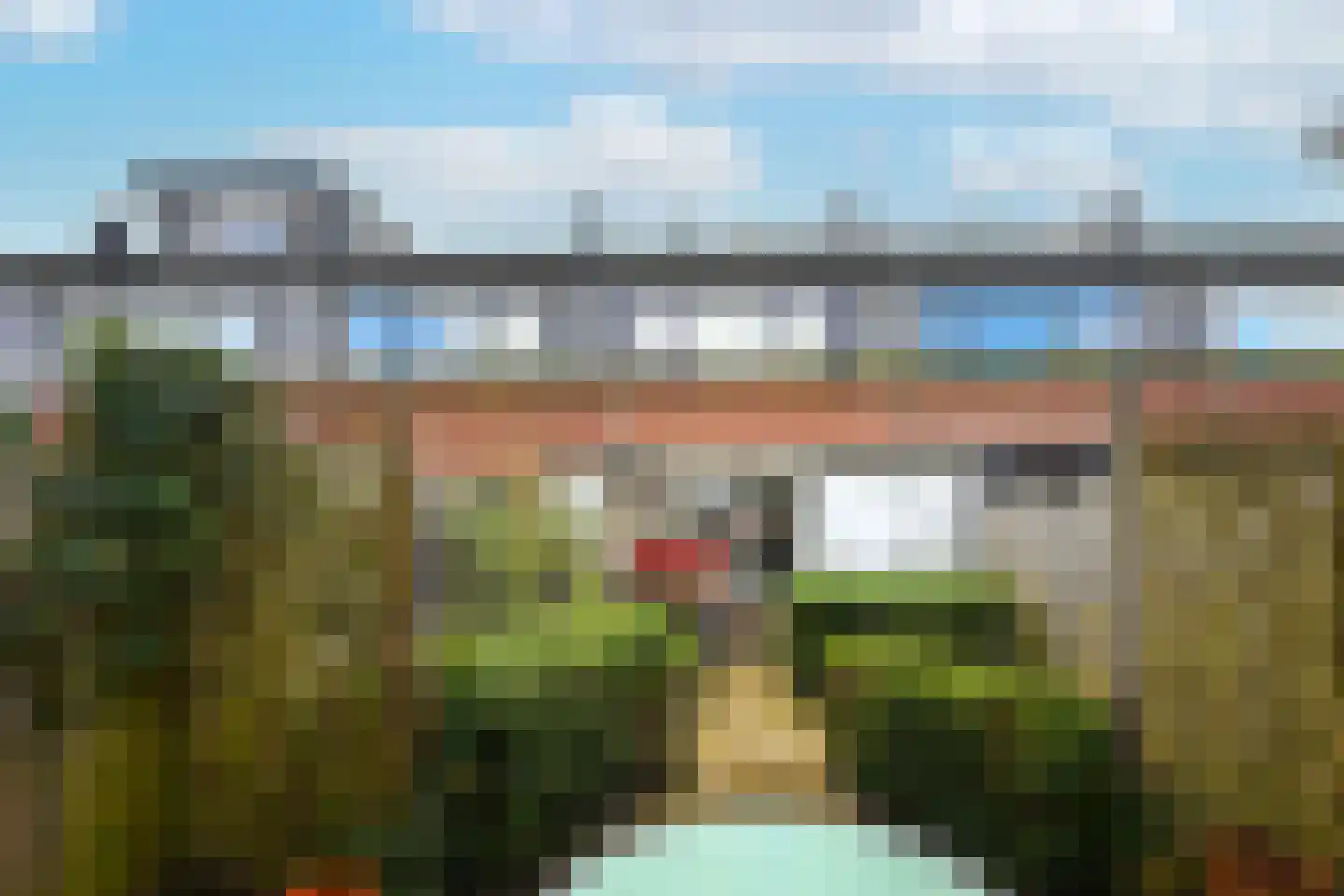 Zwarte Specht 44 Zeewolde thumbnail 23