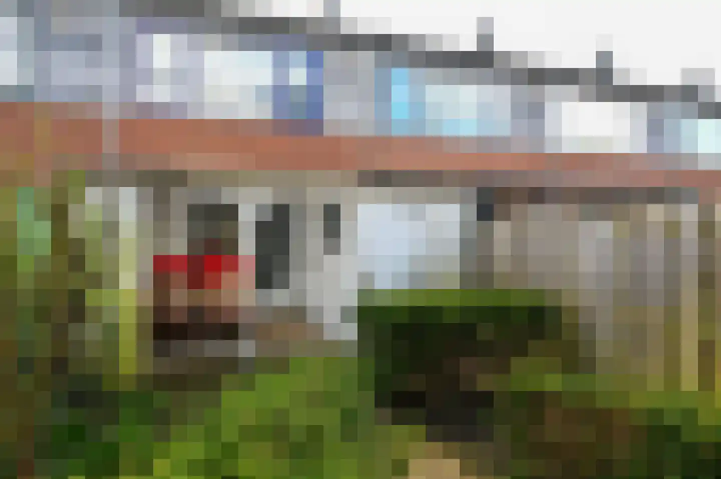 Zwarte Specht 44 Zeewolde thumbnail 24
