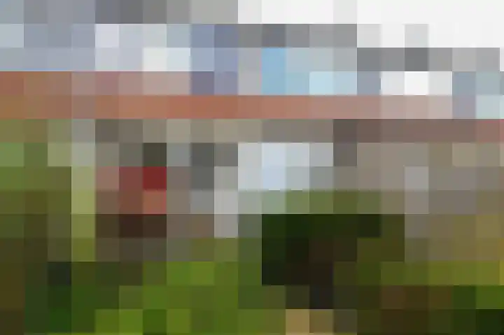 Zwarte Specht 44 Zeewolde thumbnail 24
