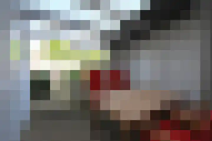 Zwarte Specht 44 Zeewolde thumbnail 25