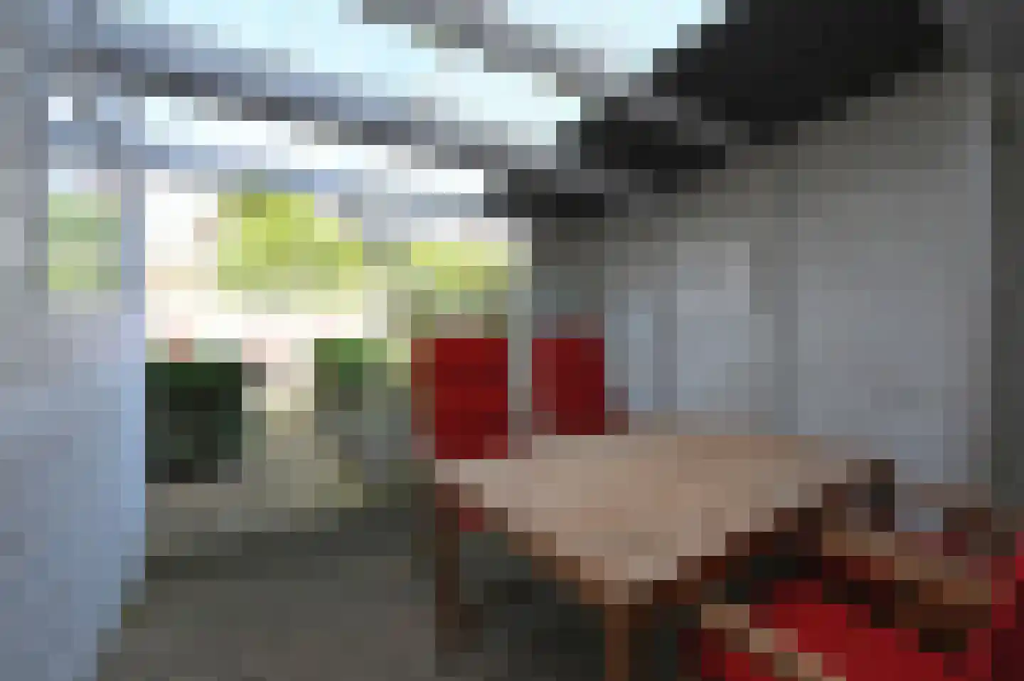 Zwarte Specht 44 Zeewolde thumbnail 25