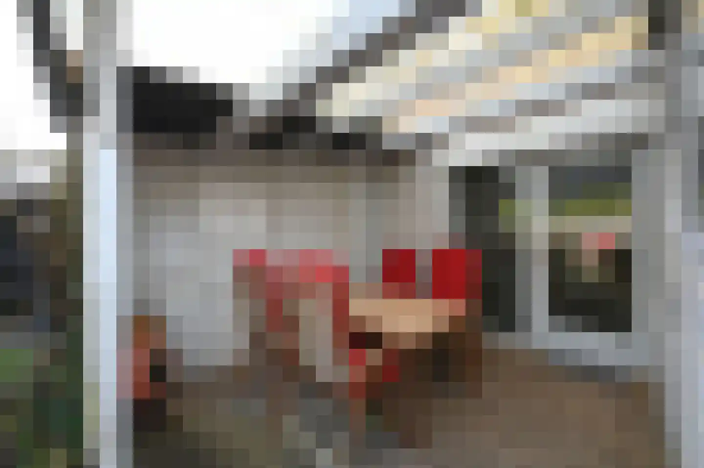 Zwarte Specht 44 Zeewolde thumbnail 26