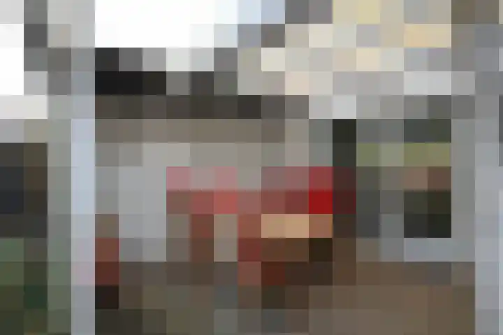 Zwarte Specht 44 Zeewolde thumbnail 26