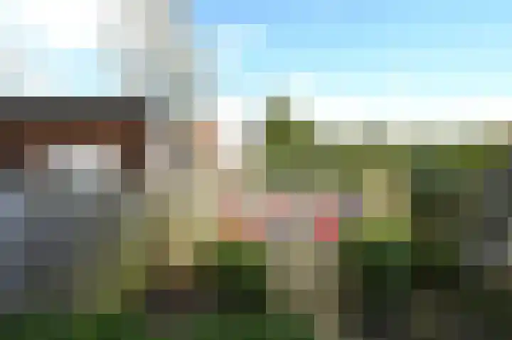 Zwarte Specht 44 Zeewolde thumbnail 27