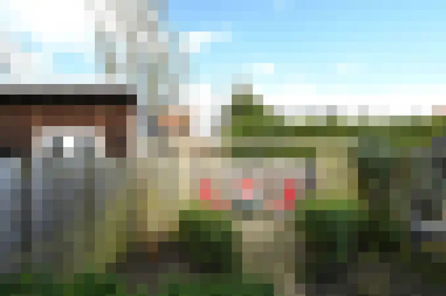 Zwarte Specht 44 Zeewolde thumbnail 27
