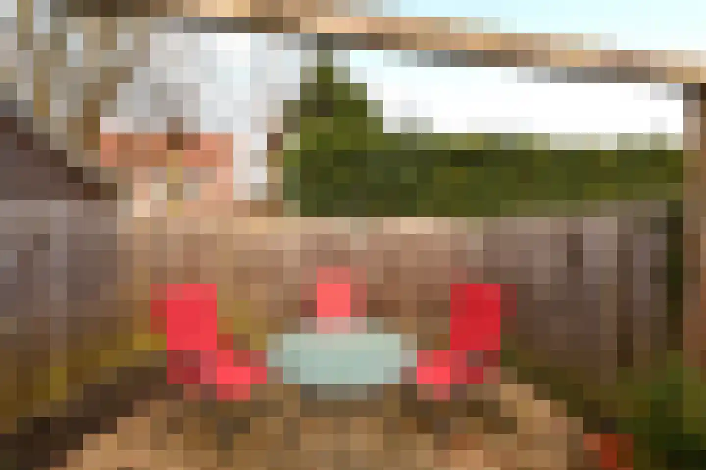 Zwarte Specht 44 Zeewolde thumbnail 28