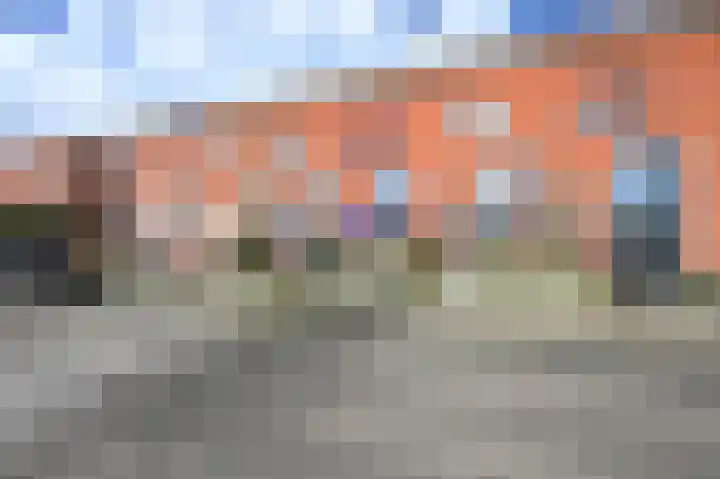 Zwarte Specht 44 Zeewolde thumbnail 29