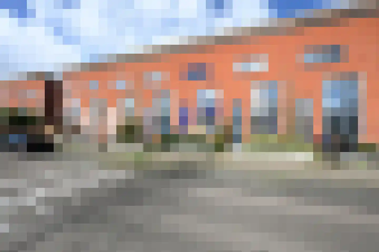 Zwarte Specht 44 Zeewolde thumbnail 29