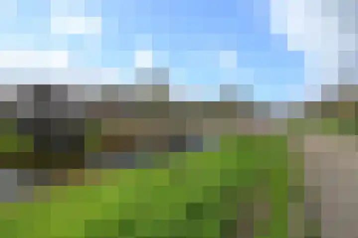 Zwarte Specht 44 Zeewolde thumbnail 30