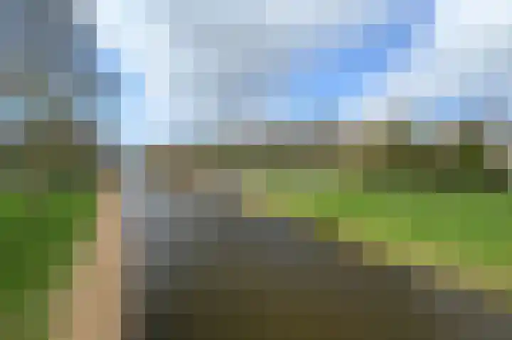 Zwarte Specht 44 Zeewolde thumbnail 31