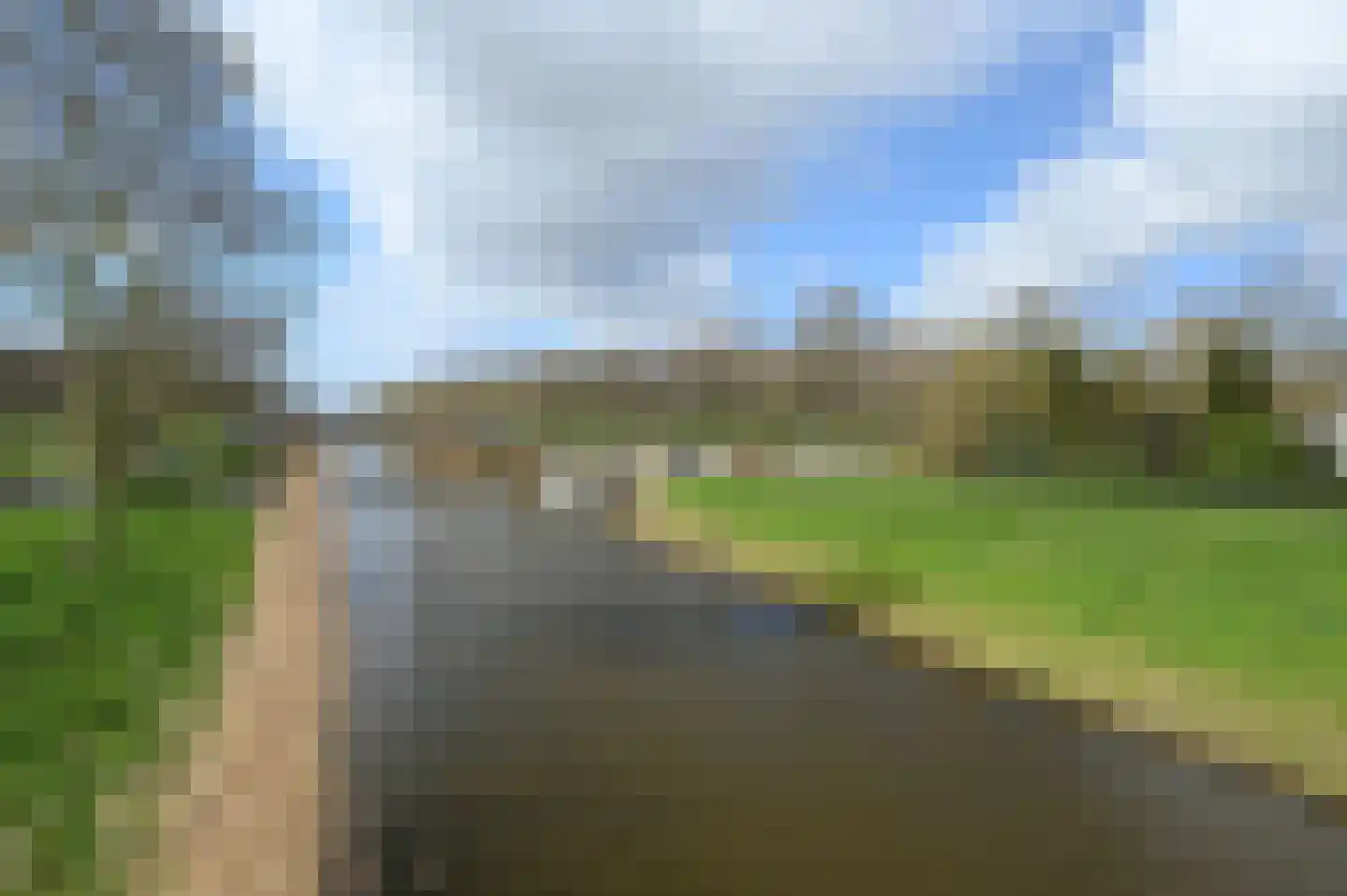 Zwarte Specht 44 Zeewolde thumbnail 31