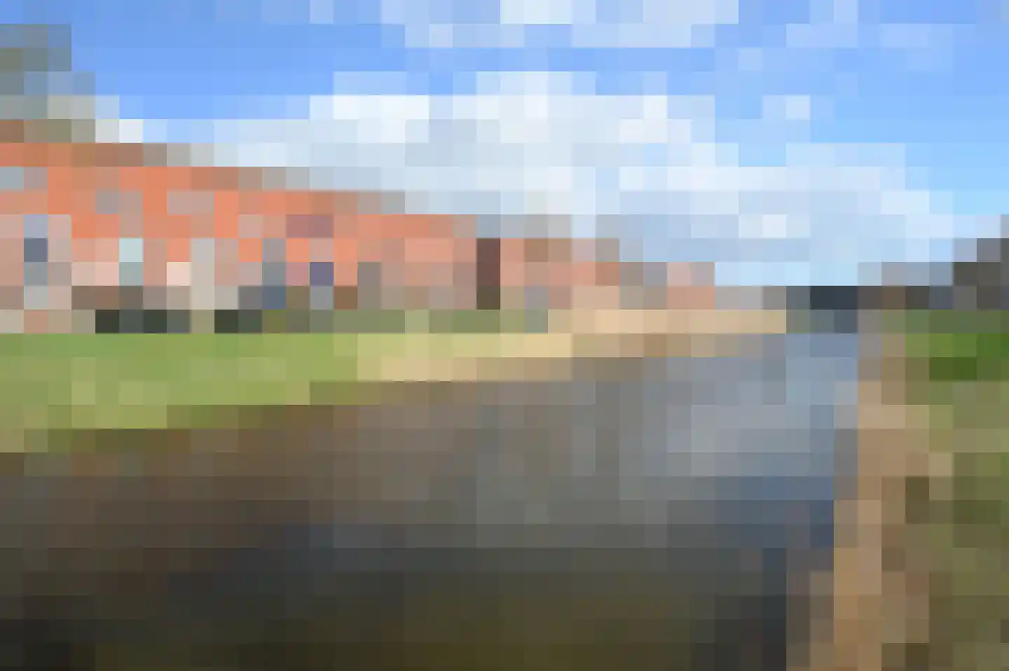 Zwarte Specht 44 Zeewolde thumbnail 32