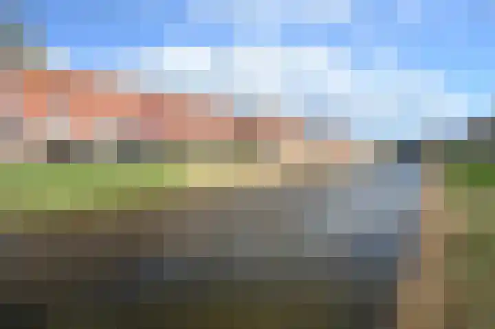 Zwarte Specht 44 Zeewolde thumbnail 32