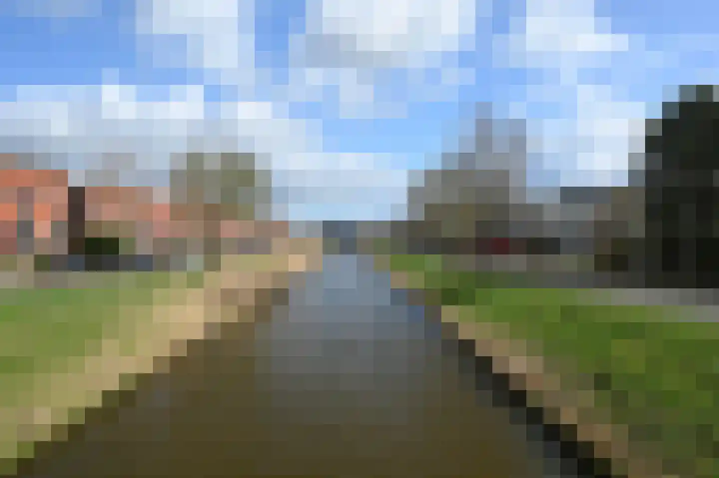 Zwarte Specht 44 Zeewolde thumbnail 33