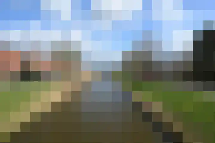 Zwarte Specht 44 Zeewolde thumbnail 33
