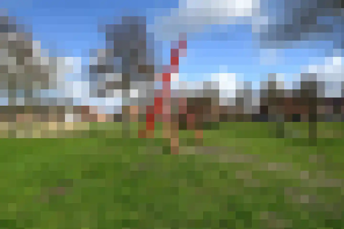 Zwarte Specht 44 Zeewolde thumbnail 34