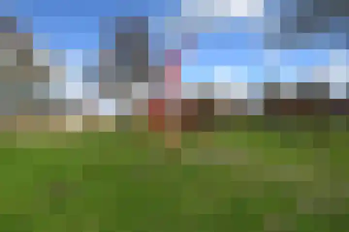 Zwarte Specht 44 Zeewolde thumbnail 34