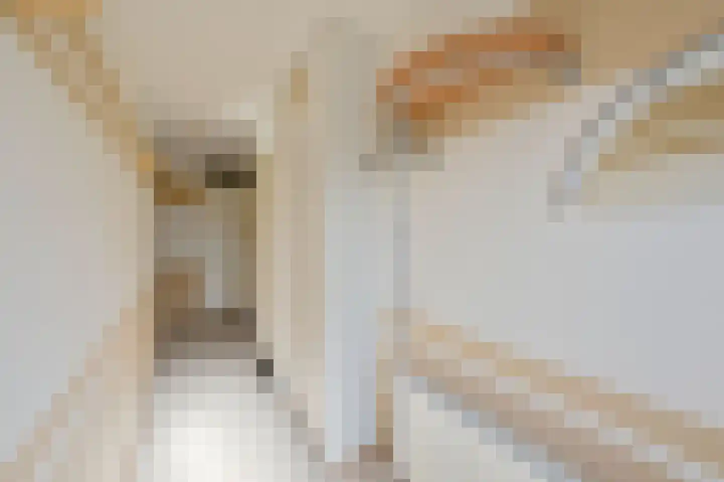 Zwarte Specht 44 Zeewolde thumbnail 4