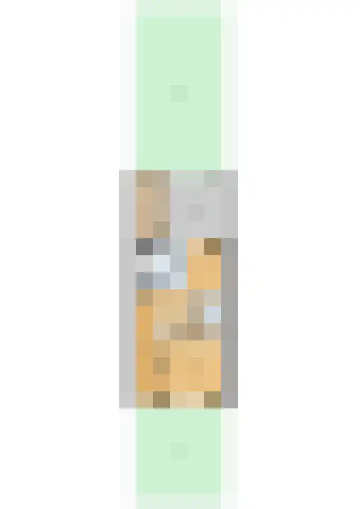 Zwarte Specht 44 Zeewolde thumbnail 41