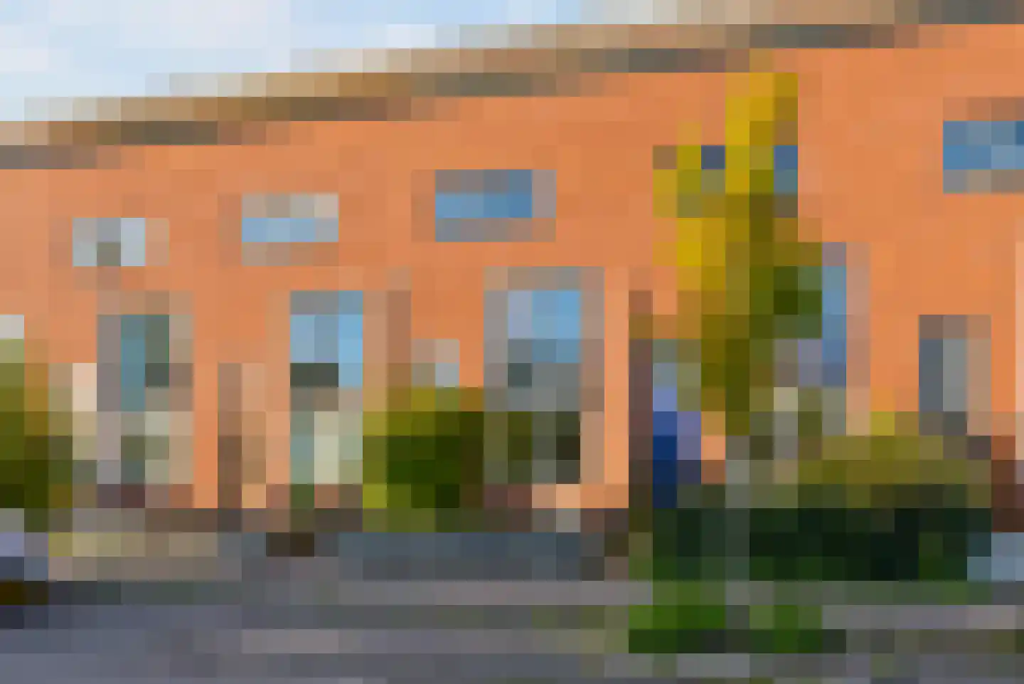 Zwarte Specht 46 in Zeewolde