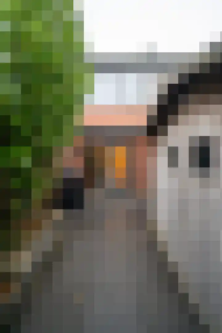 Zwarte Specht 58 Zeewolde thumbnail 20
