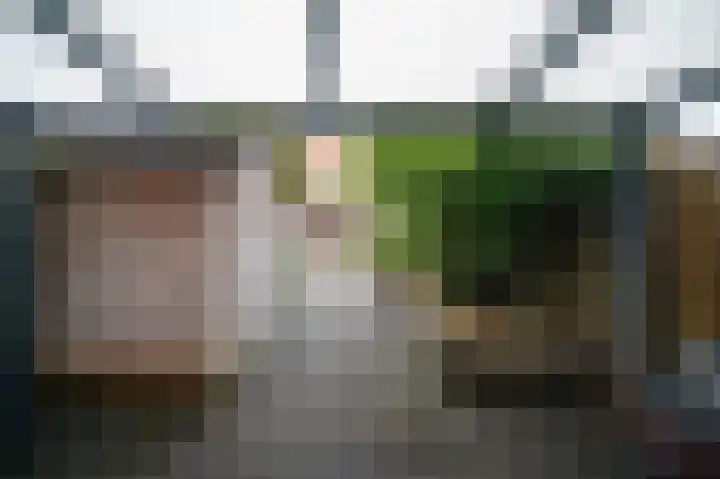 Zwarte Specht 58 Zeewolde thumbnail 21