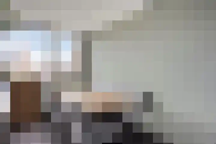 Zwarte Specht 66 Zeewolde thumbnail 19