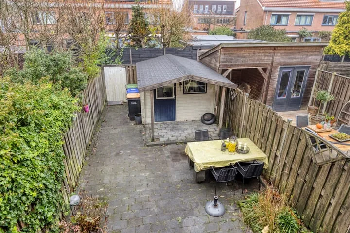 Zwarte Specht 66 Zeewolde thumbnail 27