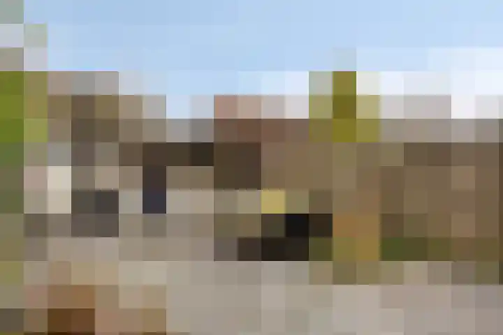Zwarte Specht 66 Zeewolde thumbnail 28