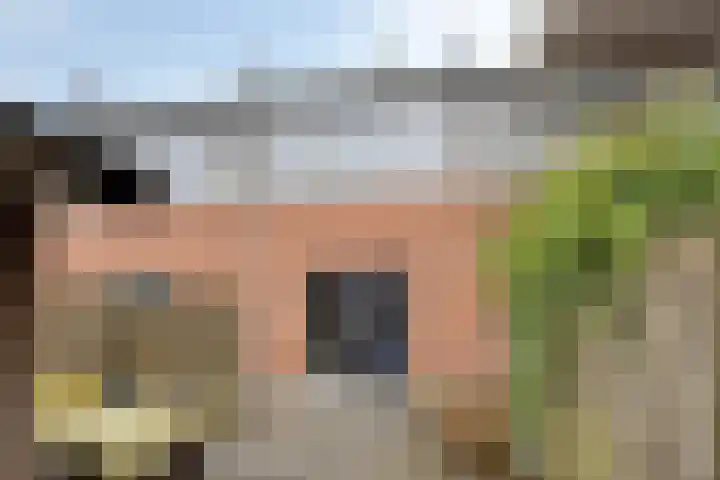 Zwarte Specht 66 Zeewolde thumbnail 29