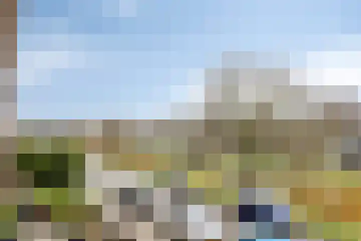 Zwarte Specht 66 Zeewolde thumbnail 31