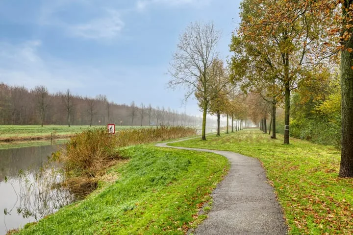 Zwarte Specht 66 Zeewolde thumbnail 32