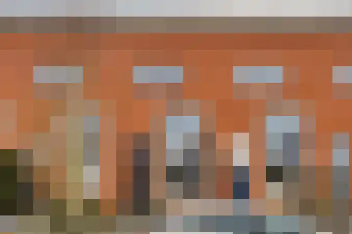Zwarte Specht 66 Zeewolde thumbnail 4