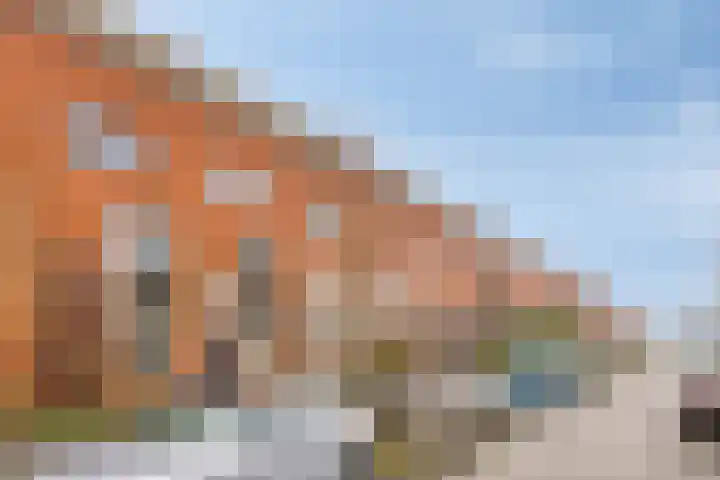Zwarte Specht 66 Zeewolde thumbnail 5