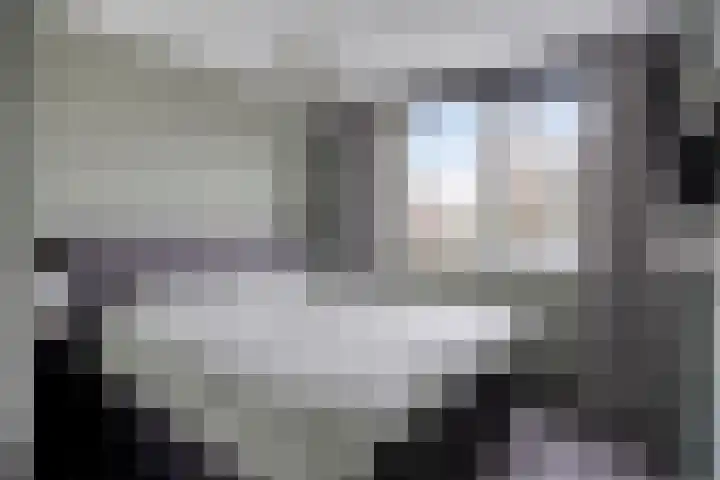 Zwarte Specht 66 Zeewolde thumbnail 9