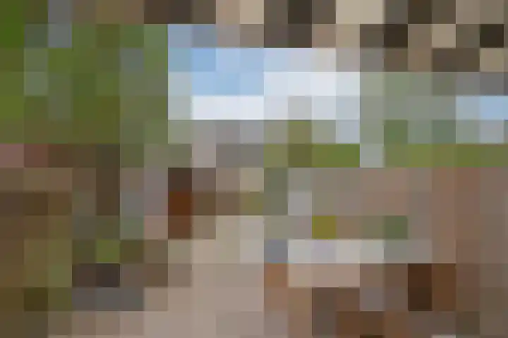 Zwarte Sternhof 15 Delft thumbnail 15