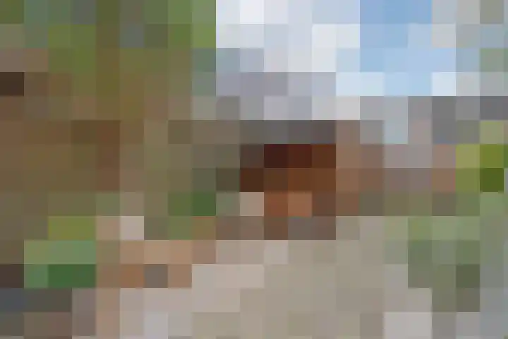 Zwarte Sternhof 15 Delft thumbnail 16