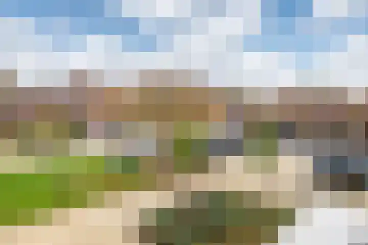 Zwarte Sternhof 15 Delft thumbnail 24