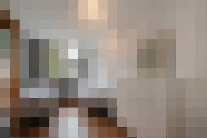 Zwarte Sternhof 15 Delft thumbnail 25