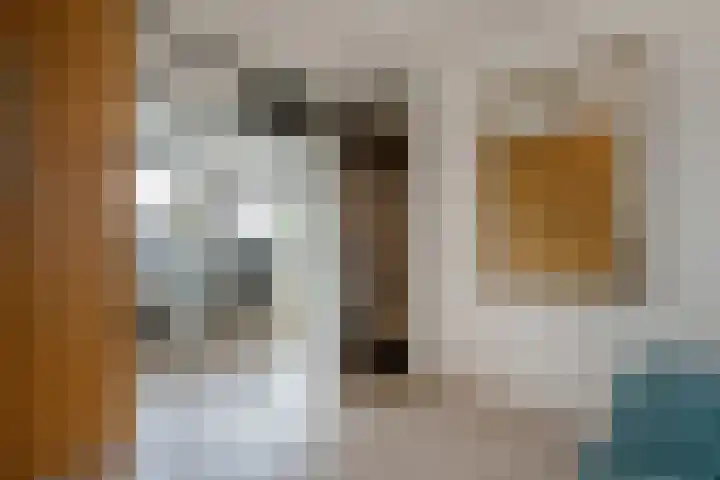 Zwarte Sternhof 15 Delft thumbnail 30