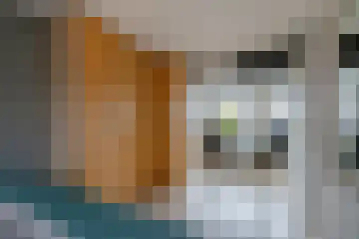 Zwarte Sternhof 15 Delft thumbnail 31