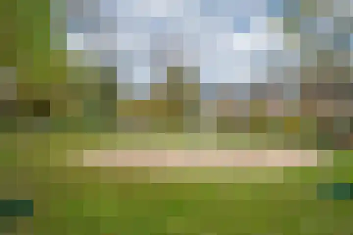 Zwarte Sternhof 15 Delft thumbnail 35