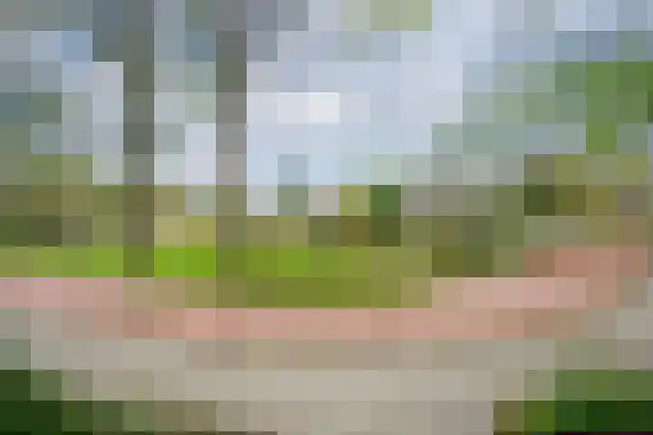 Zwarte Sternhof 15 Delft thumbnail 36