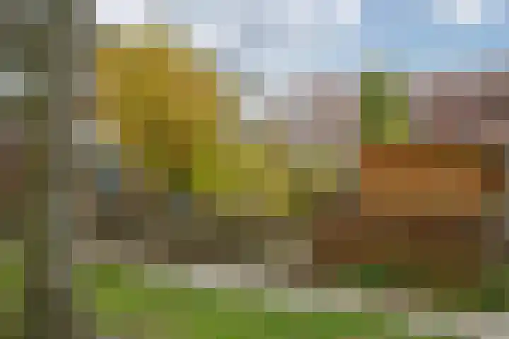 Zwarte Sternhof 15 Delft thumbnail 37