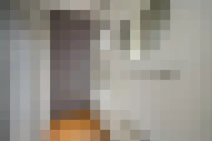 Zwarte Sternhof 15 Delft thumbnail 4