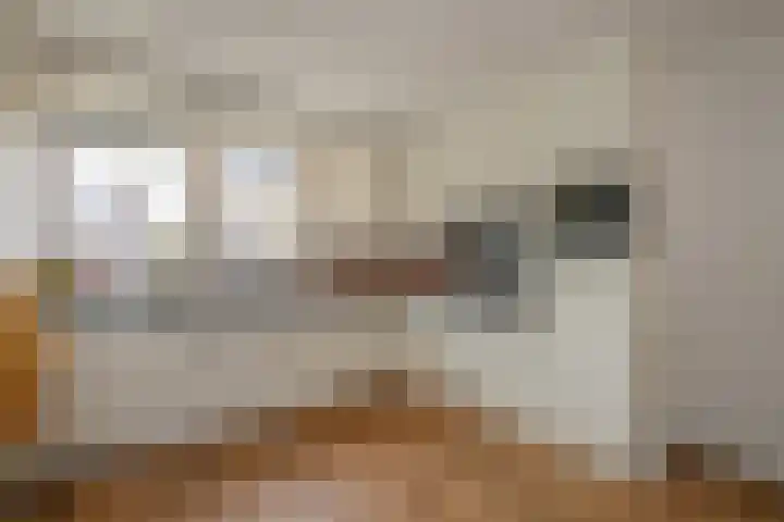 Zwarte Sternhof 15 Delft thumbnail 5